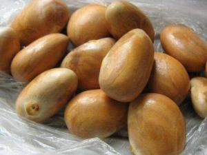 ���}�۵ĺ��ܳԆ᣿���}�۵ĺ���ô�ԣ��Բ��}�ۺ˵�ע�����