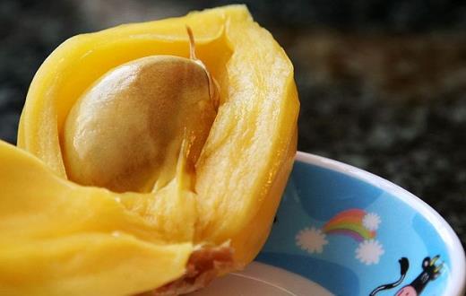 菠蘿蜜的營養(yǎng)價值 菠蘿蜜圖片 菠蘿蜜的核怎么吃