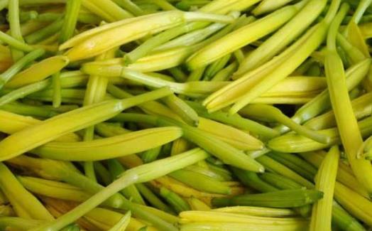 新鮮的黃花菜有毒嗎?