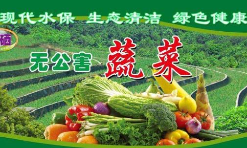 什么是有機蔬菜?綠色蔬菜?無公害蔬菜?三者有什么區別