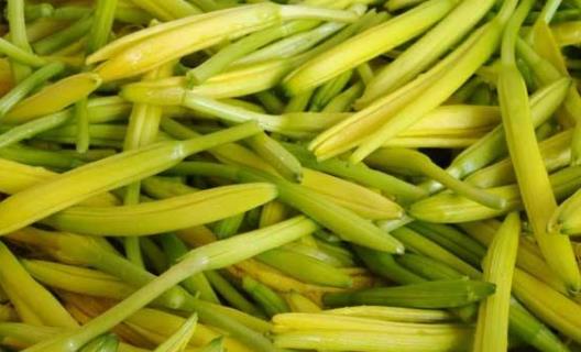 新鮮的黃花菜有毒嗎?怎么吃更安全?黃花菜的營養價值