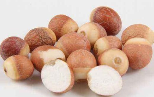 秋冬季適合多吃芡實 秋冬季吃芡實有哪些益處