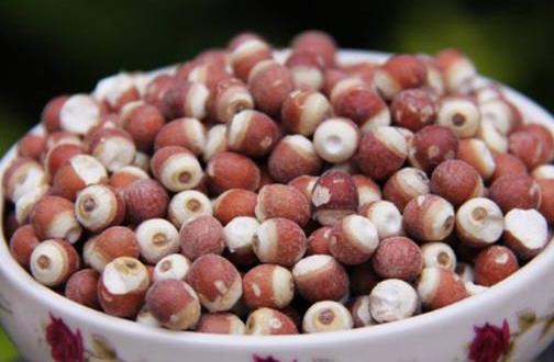 秋冬季適合多吃芡實 秋冬季吃芡實有哪些益處