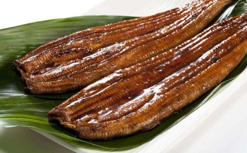 日本鰻遇嚴重魚荒 鰻魚的營養價值 吃鰻魚有6大好處