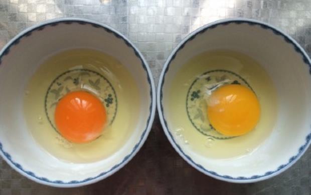 土雞蛋與普通雞蛋有什么區(qū)別 土雞蛋與普通雞蛋營養(yǎng)價值對比分析