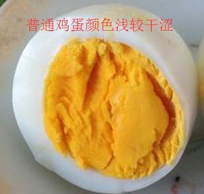 土雞蛋與普通雞蛋有什么區(qū)別 土雞蛋與普通雞蛋營養(yǎng)價值對比分析