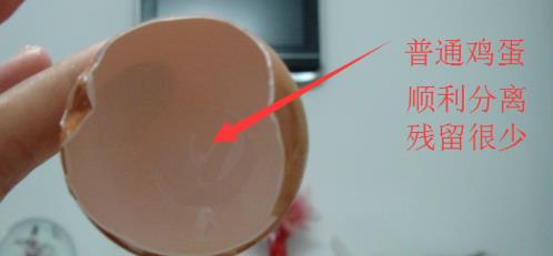 土雞蛋與普通雞蛋有什么區(qū)別 土雞蛋與普通雞蛋營養(yǎng)價值對比分析