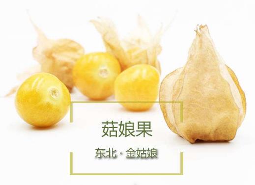 東北姑娘兒果是什么水果?姑鳥兒的營養價值及藥用價值