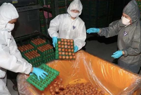 雞蛋煮太熟營(yíng)養(yǎng)會(huì)損失掉?溏心蛋和全熟雞蛋哪種營(yíng)養(yǎng)更好?