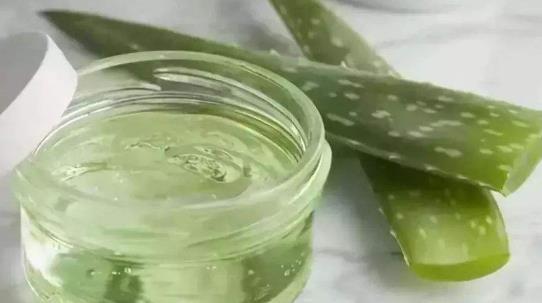 吃蘆薈有哪些副作用?蘆薈有哪些藥用價值?