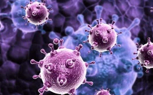 石榴吃多了會上火嗎?石榴有哪些功效?