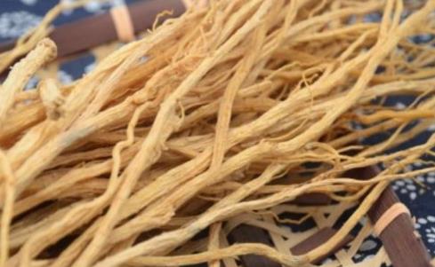 吃土黨參的好處是什么?吃土黨參的注意事項