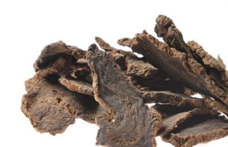 玄參的作用是什么?玄參的營養價值