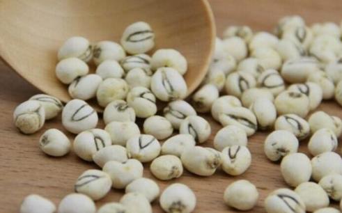 貝母是什么?貝母有什么功效