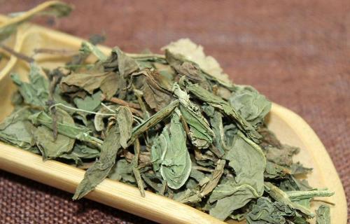 喉嚨痛能喝蒲公英水嗎?喝蒲公英水有哪些好處?