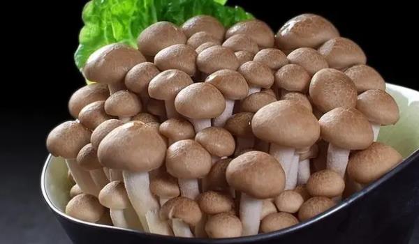 зζ���Lʲô���ӵĈDƬ зζ������Щ��Ч�c����