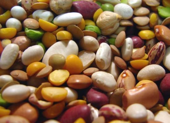 常吃豆類食品有什么好處?各種豆類的營養價值功效
