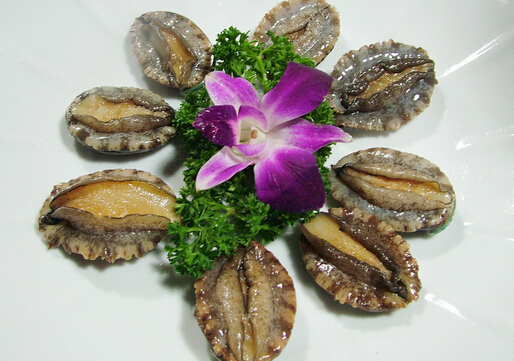 �U�~����ϴ����-�U�~��α���