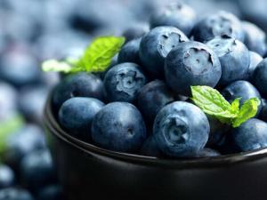 藍莓怎么洗？怎么挑選藍莓？