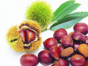 板栗怎么去皮?板栗的吃法