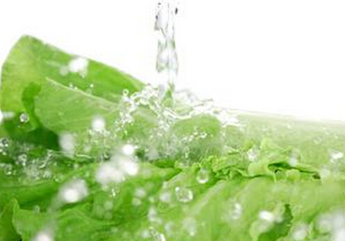 蔬菜農藥殘留怎么辦?洗菜的小訣竅