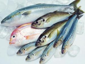 如何區別冰鮮魚與速凍魚？鑒別海鮮干品質量好壞方法