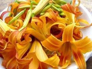 如何預防鮮黃花菜中毒？鮮黃花菜的制作方法