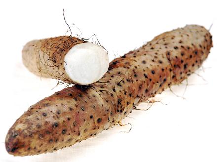 ����xُɽˎ��ɽˎ�����x����