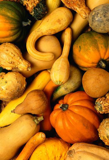 �������x�Ϲϣ��Ϲϵ����x����