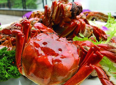 大閘蟹怎么保存?大閘蟹的保存方法