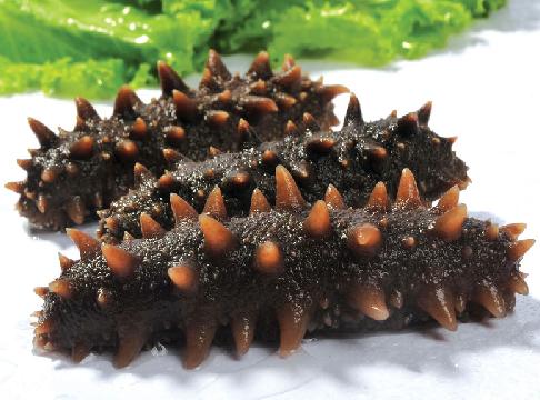 海參怎么泡發(fā)?泡發(fā)海參的方法