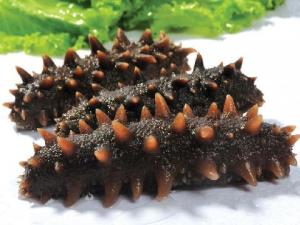 海參怎么泡發(fā)?泡發(fā)海參的方法