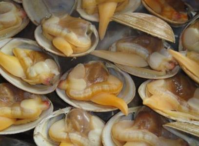 黃蜆子怎么吐沙子?怎么讓蜆子吐沙子?黃蜆子的清洗方法