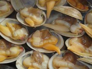 黃蜆子怎么去沙子?黃蜆子的清洗方法