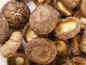 如何泡發干香菇和干黑木耳?泡香菇加糖,發木耳加鹽