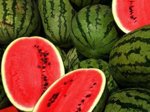 ���_��������ô���棿���_�������ڱ����ܷŶ��