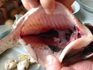 怎么去除手上的魚腥味？手上的魚腥味去除方法