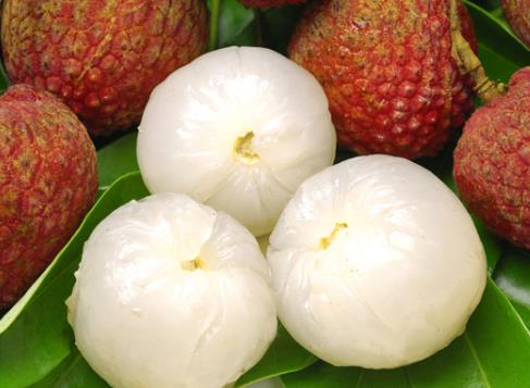 ��֦��α�������֦���r����