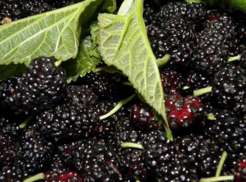 ������x���rɣ�أ�ɣ�ص����x����