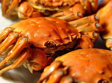 螃蟹怎么清洗最干凈?螃蟹的清洗方法