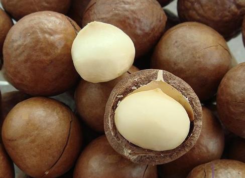 �����Ĺ���ô�_������������ע�����