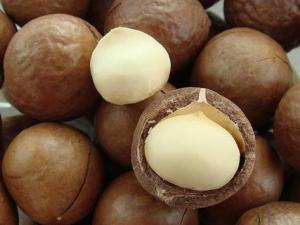 夏威夷果怎么開？吃夏威果的注意事項(xiàng)