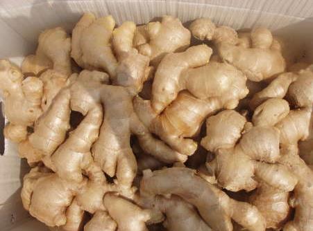 �ļ���α����������ļ�����������С�[�T