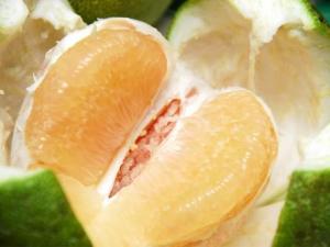 文旦和柚子有區別嗎？如何挑選文旦柚