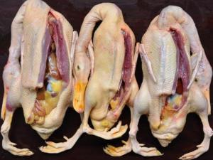 如何鑒別鴨肉是否鮮嫩?鑒別鴨肉老嫩的技巧