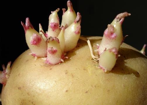 ������ô��Ų��˰l(f��)ѿ�������l(f��)ѿ����ô�k