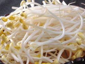 如何識別化學豆芽？化學豆芽怎么鑒別