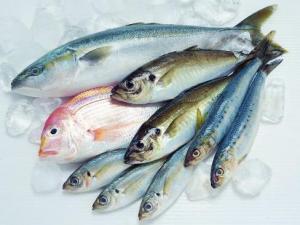 如何鑒別污染魚?鑒別污染魚的方法與技巧