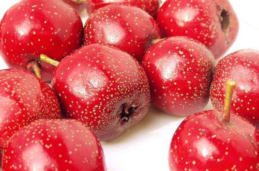 ʲô�ӵ�ɽ髺ó��������xُ�����ɽ�