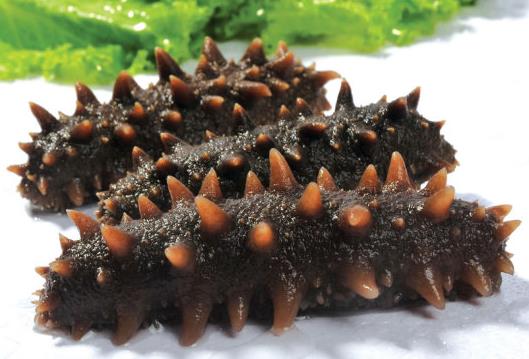 如何挑選海參?海參的挑選技巧